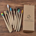 Bamboo Toothbrush