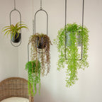 Creative Hanging Iron Flower Pot for Indoor Plants
