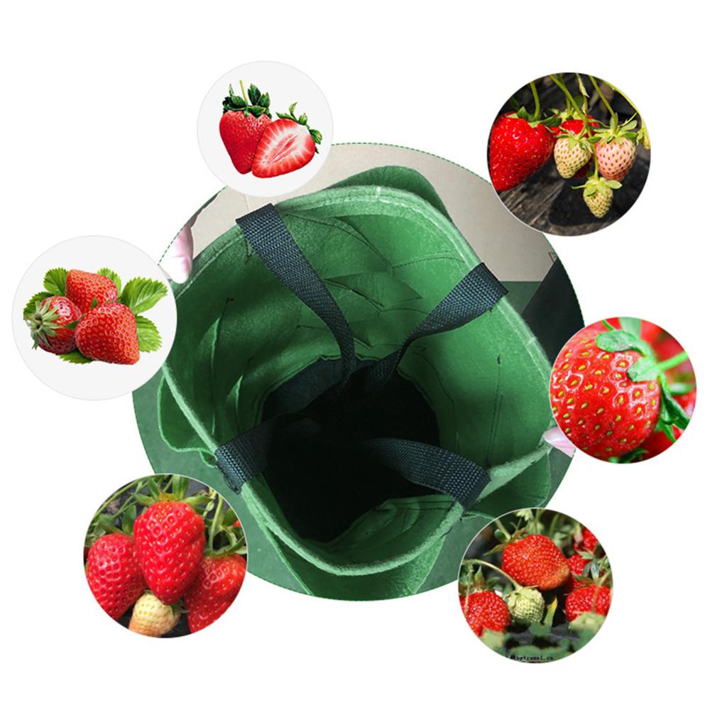 Grow Bag Planter for Vegetable Gardens