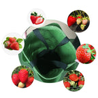 Grow Bag Planter for Vegetable Gardens