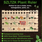 Wooden Seedling Planting Ruler