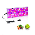LED Grow Light for Seedlings in Greenhouses