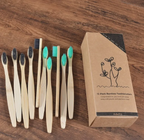Bamboo Toothbrush