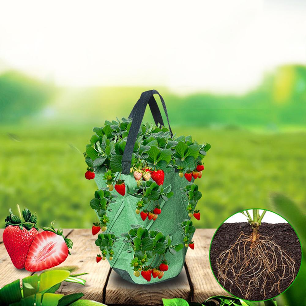 Grow Bag Planter for Vegetable Gardens