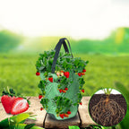 Grow Bag Planter for Vegetable Gardens