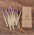 Bamboo Toothbrush