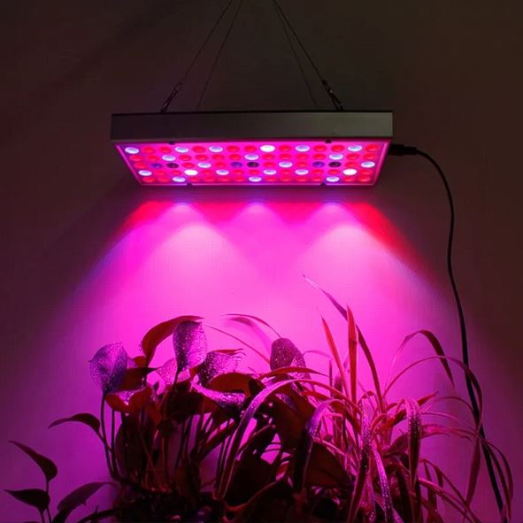LED Grow Light for Seedlings in Greenhouses